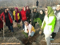 بزرگداشت هفته درخت کاری توسط کوه بانوان گروه گونش هادیشهر